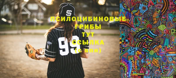 мяу мяу мука Баксан