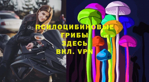 мяу мяу мука Баксан